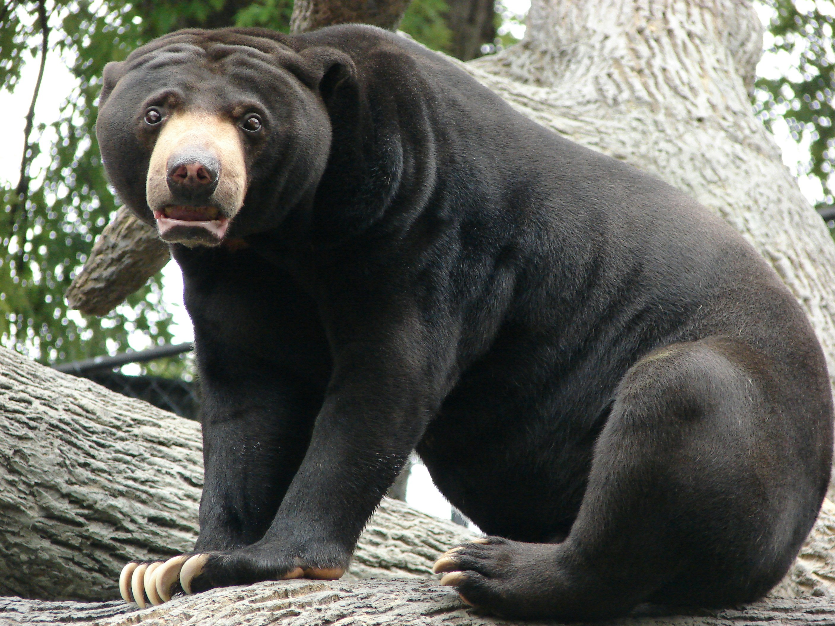 十个蓝色链接，“一种回家”版