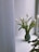 A sleek minimalist glass vase holding fresh white tulips on a sunlit windowsill.