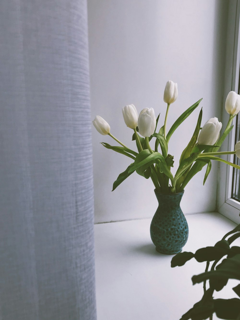 white tulips in green glass vase