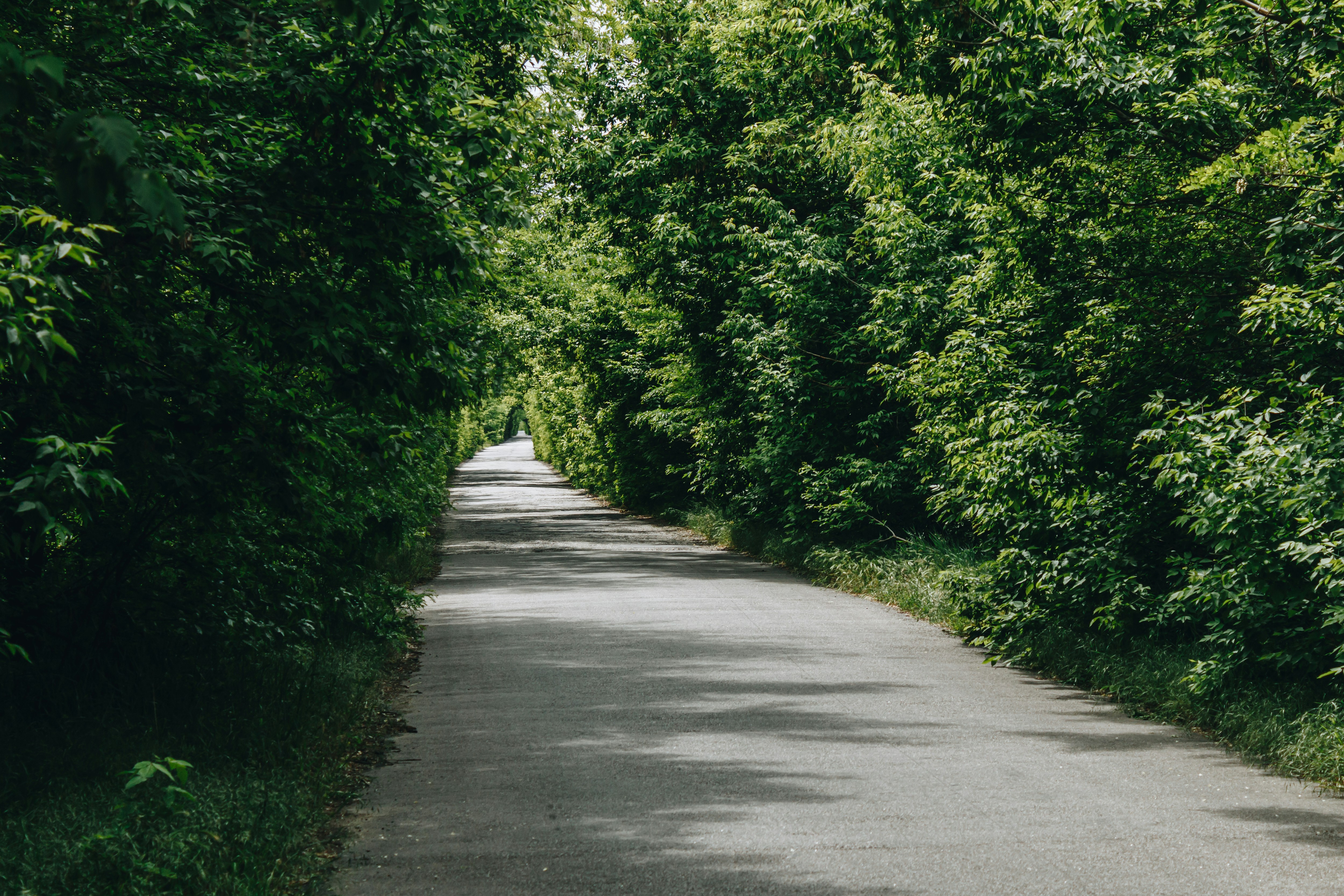 Photo by milohrodskyi