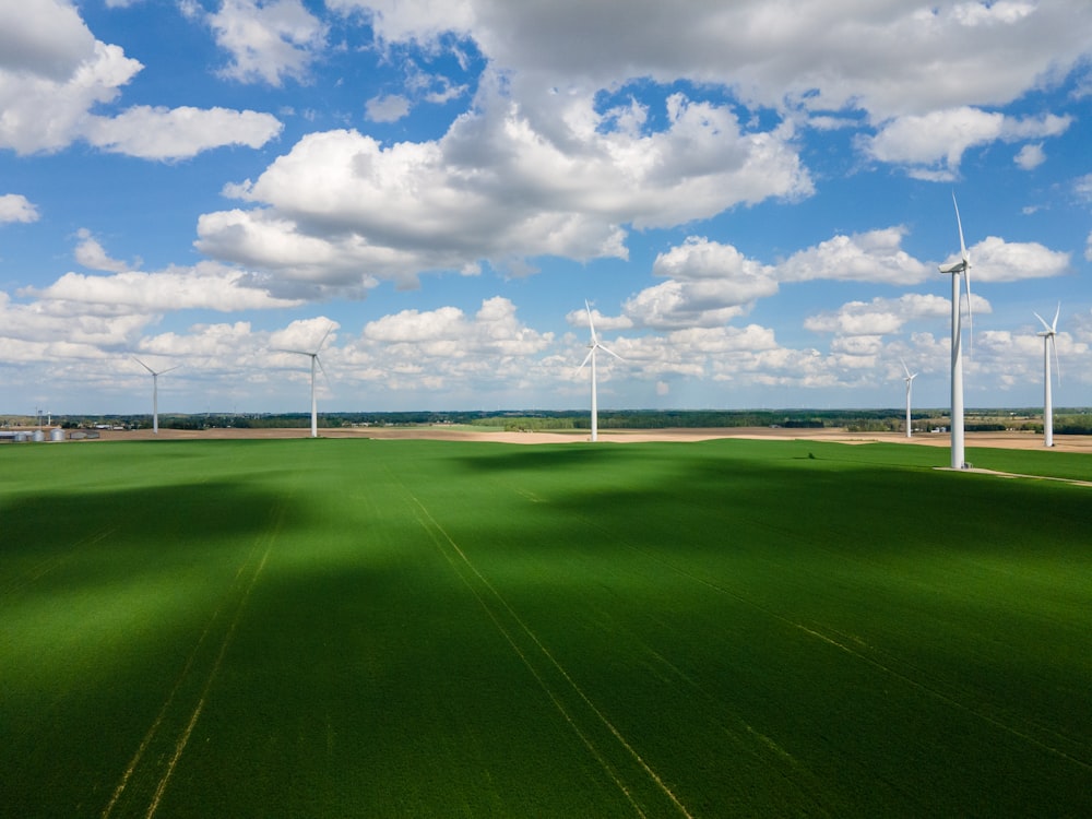 green grass field under blue sky and white clouds during daytime