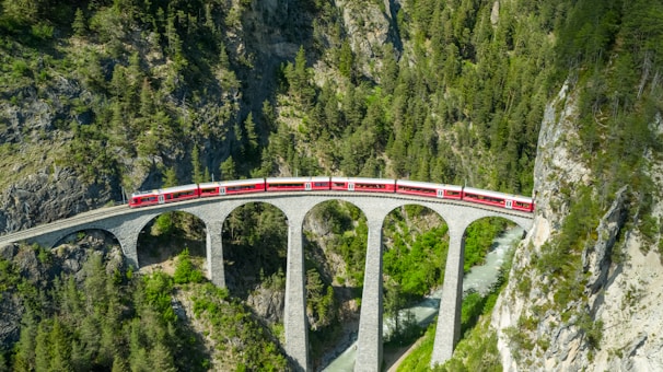 white and red bridge over river