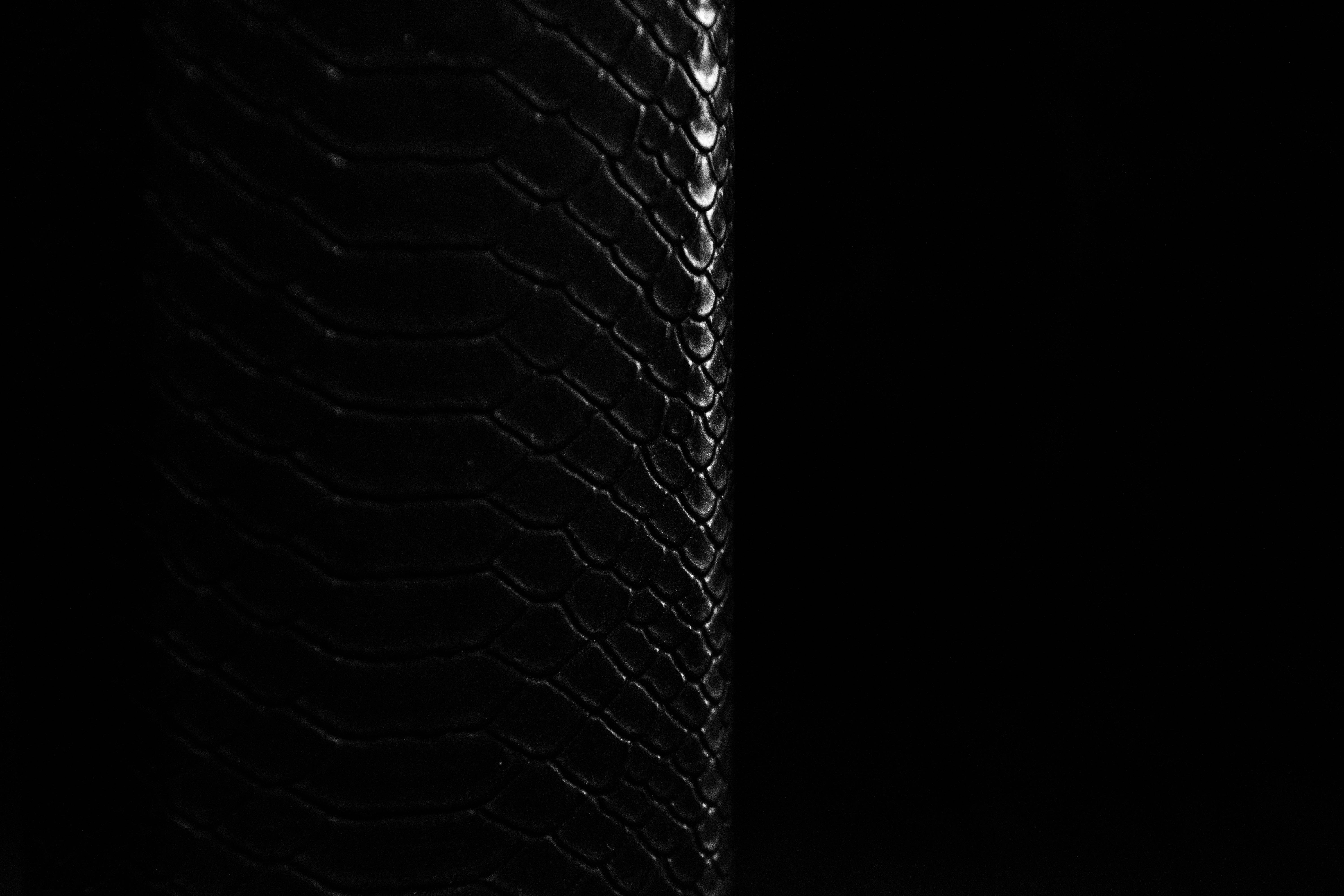 Photo by jenrielzany