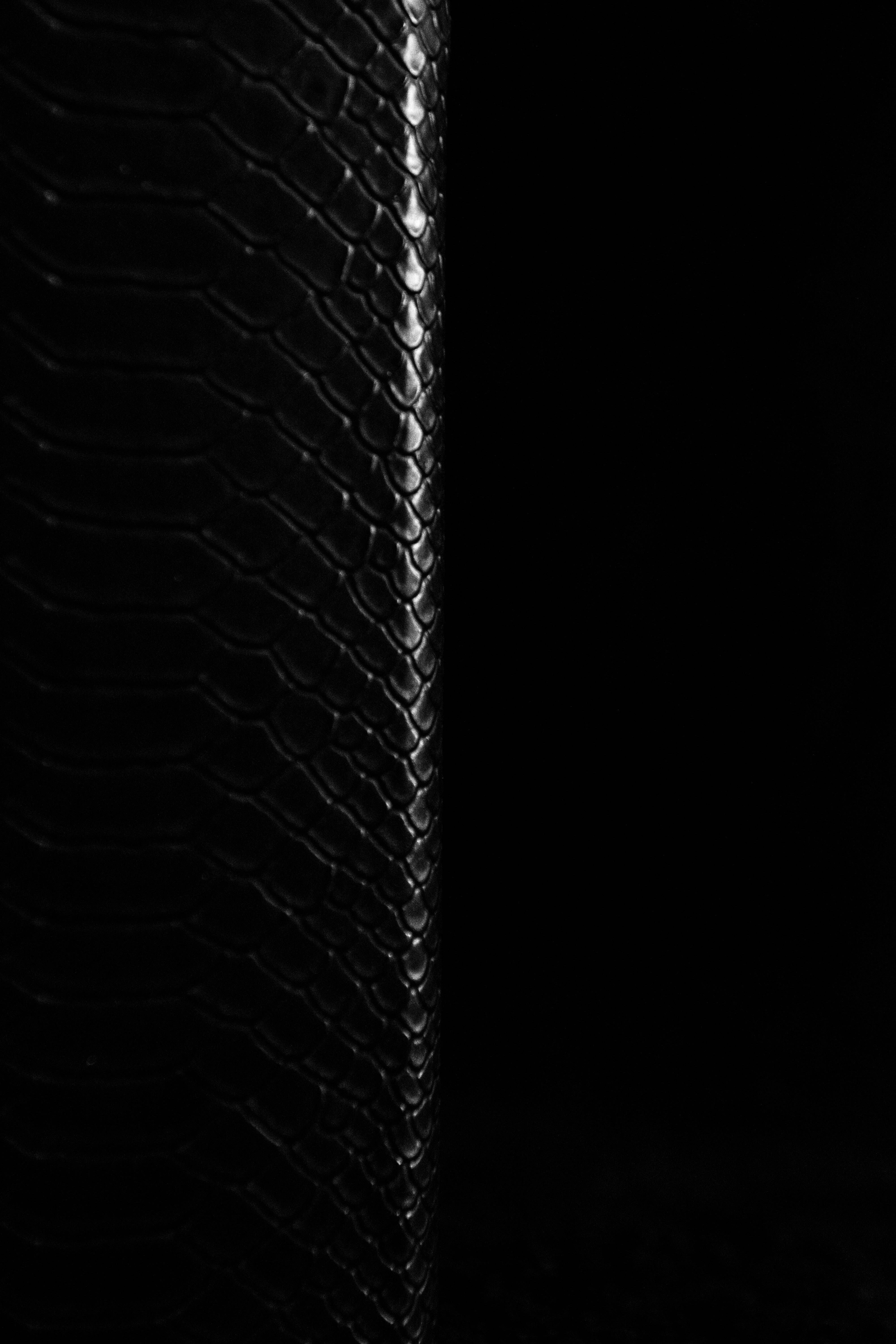 Photo by jenrielzany