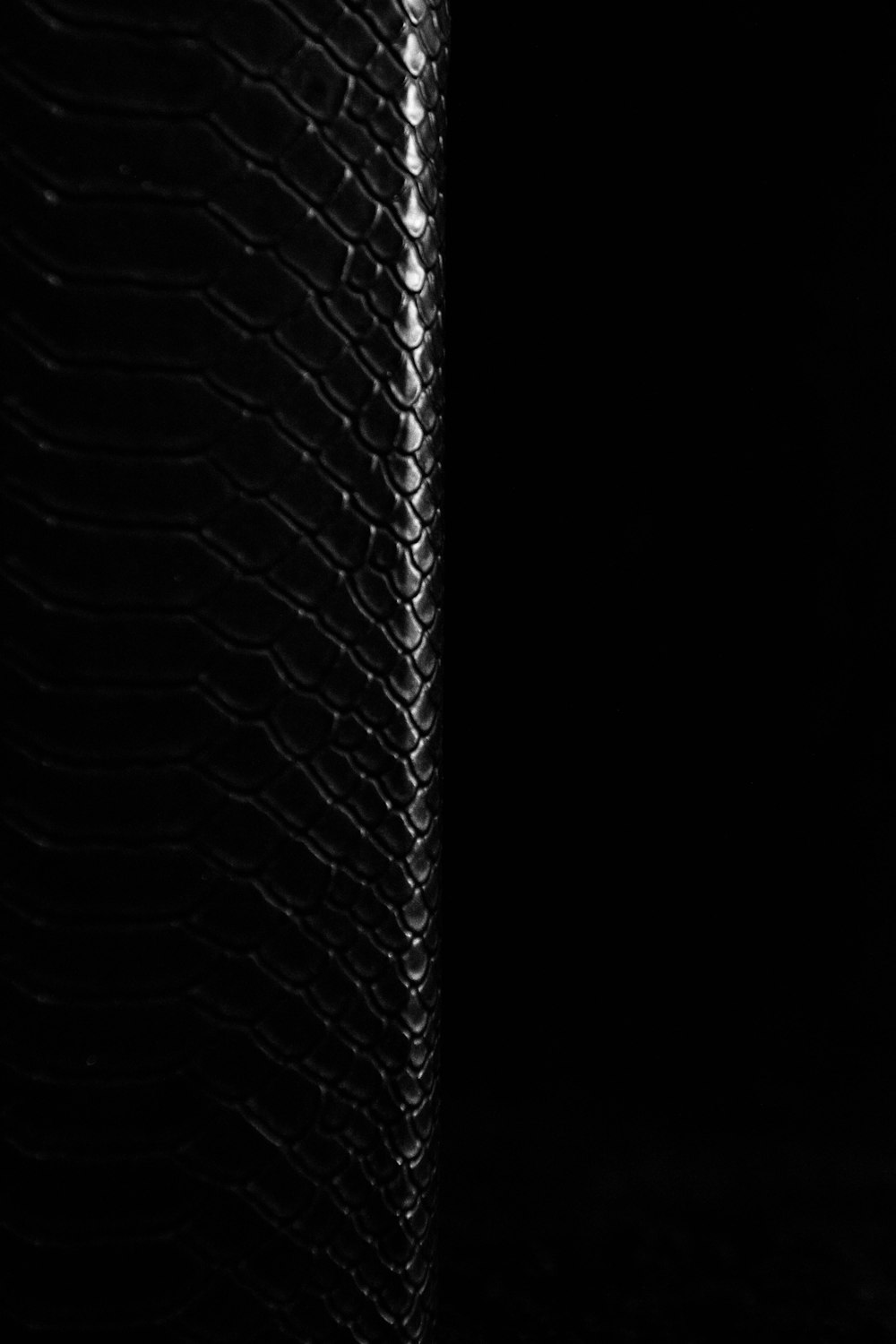 Schwarz-Weiß-Foto des Netzes