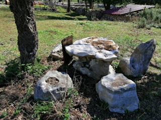 A rough stone table and seating arrangement made of large rocks is situated in a grassy outdoor area. The stones are irregularly shaped and covered with moss and dirt. Nearby, trees and some underbrush provide partial shade. In the background, there is a rustic wooden fence and other natural elements, indicating a rural setting.