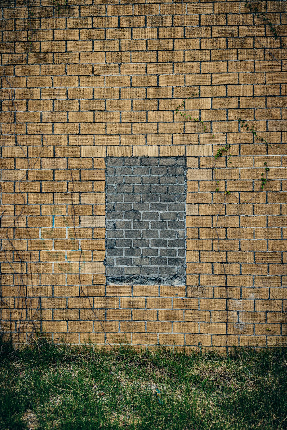 brown brick wall with green plants