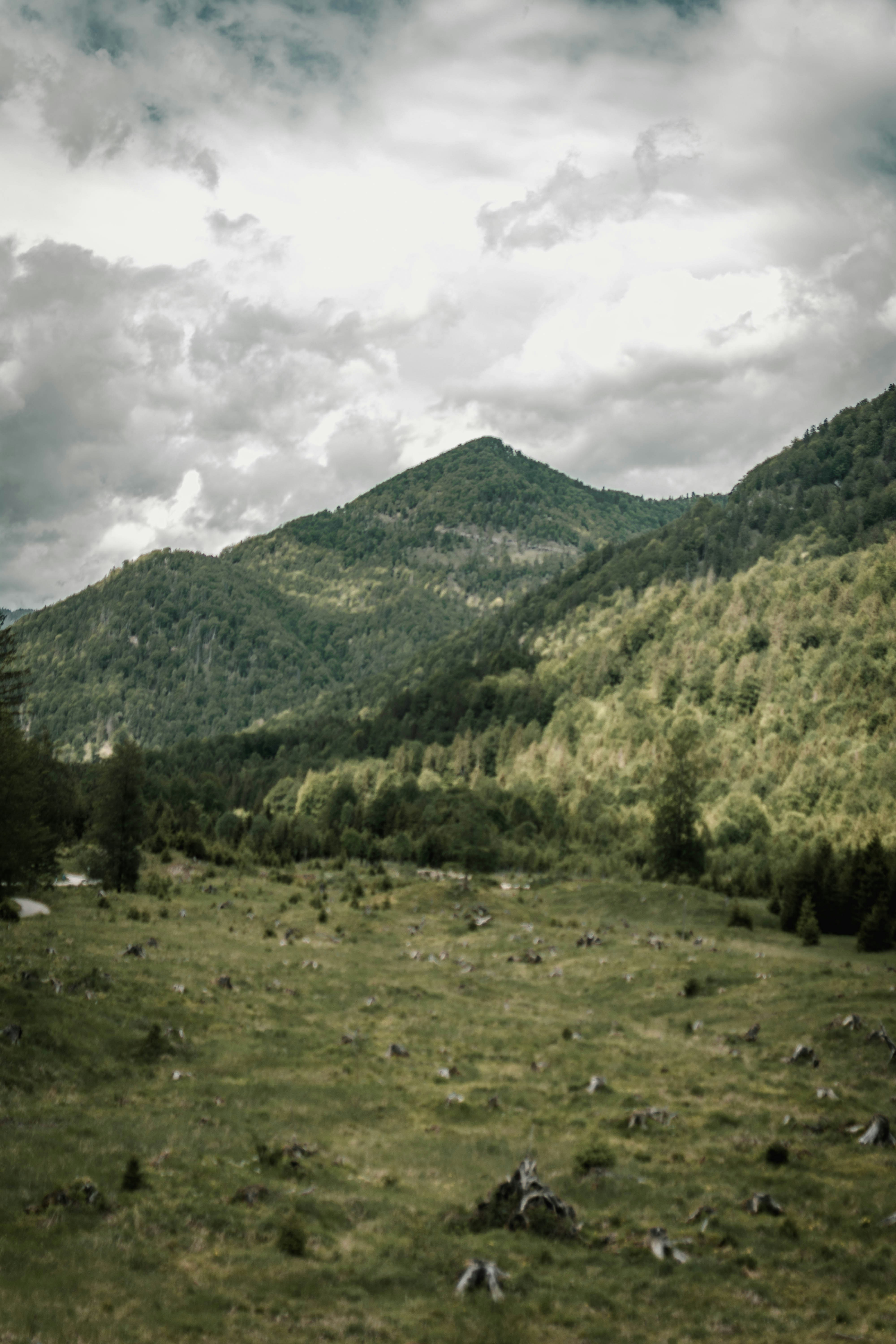Photo by lilartsy
