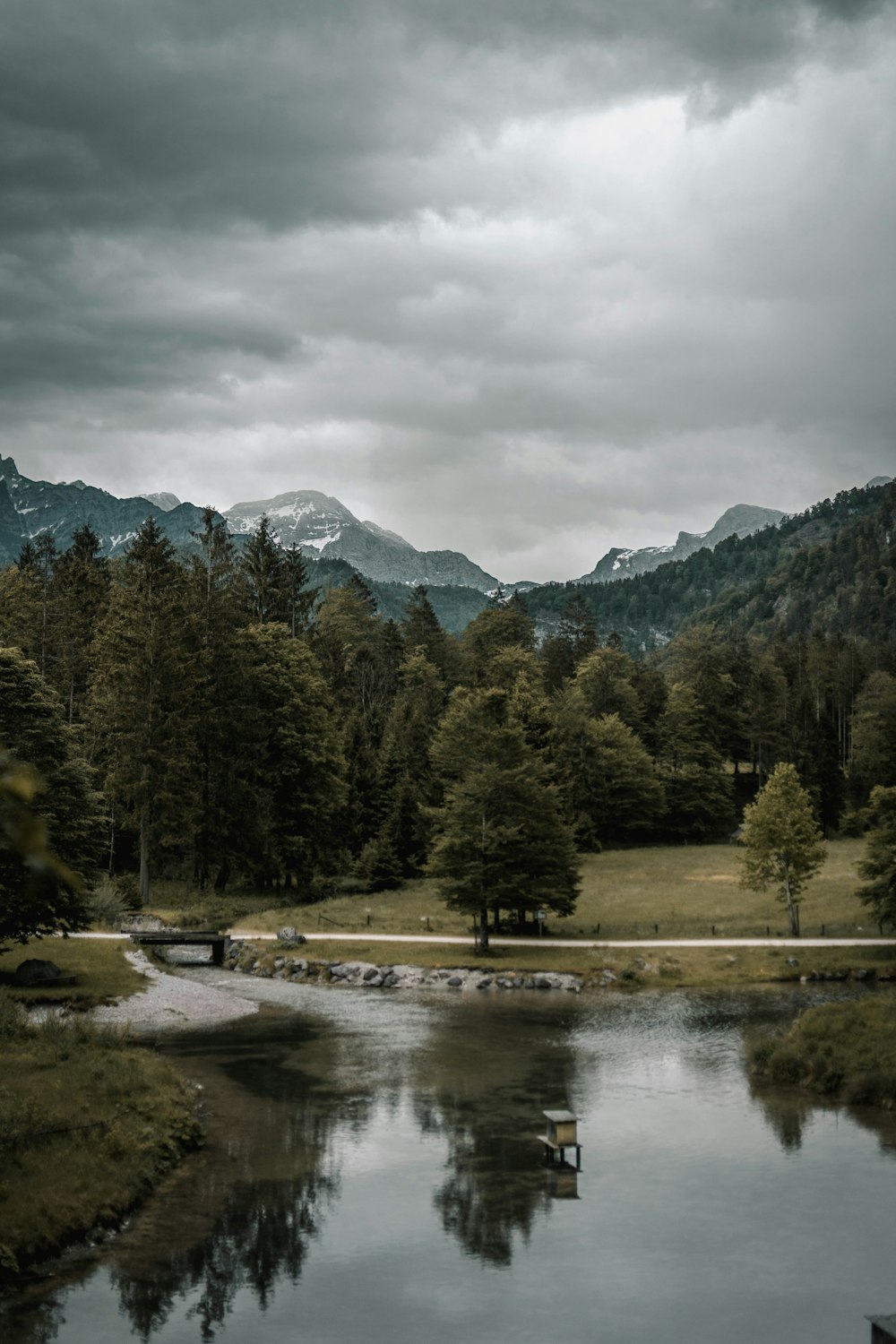 green trees near lake under cloudy sky during daytime