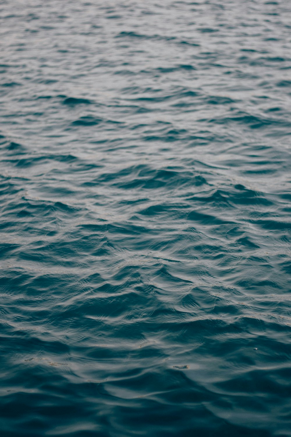 blue body of water during daytime