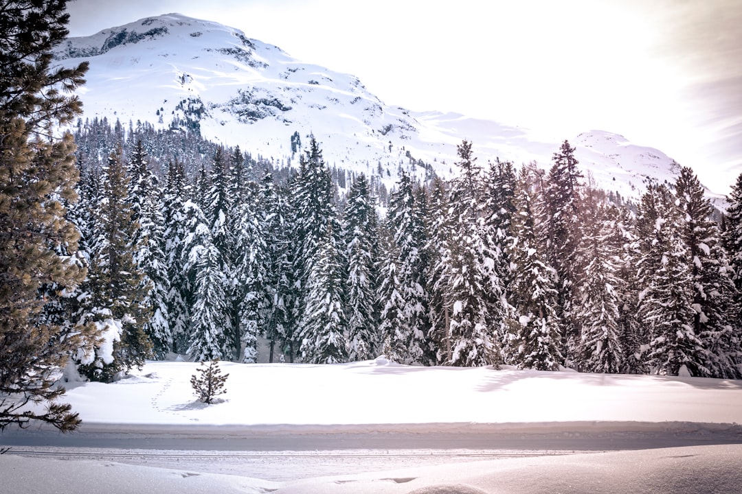 Mountain photo spot St. Moritz Airolo