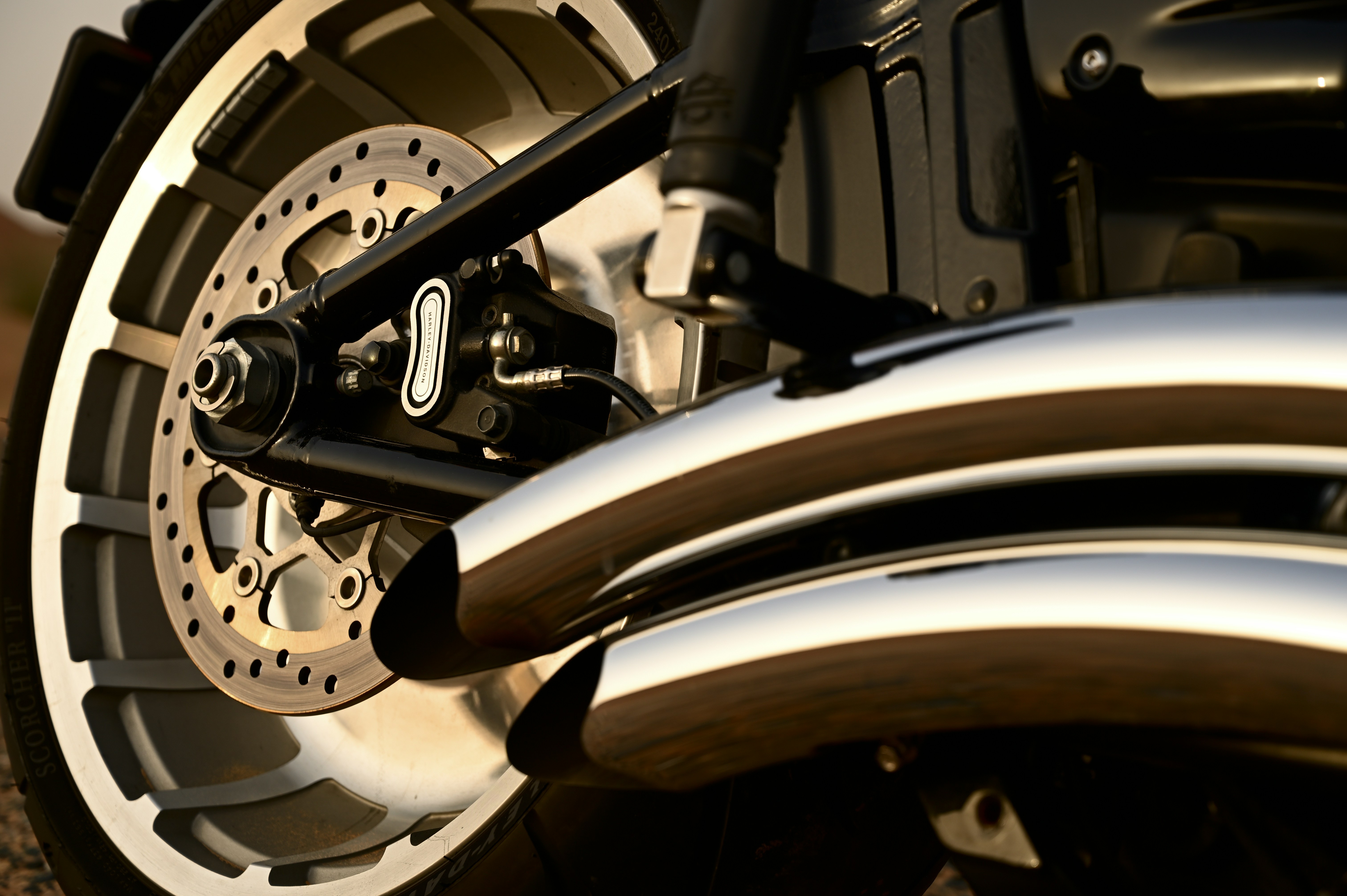 Photo by royalrider220