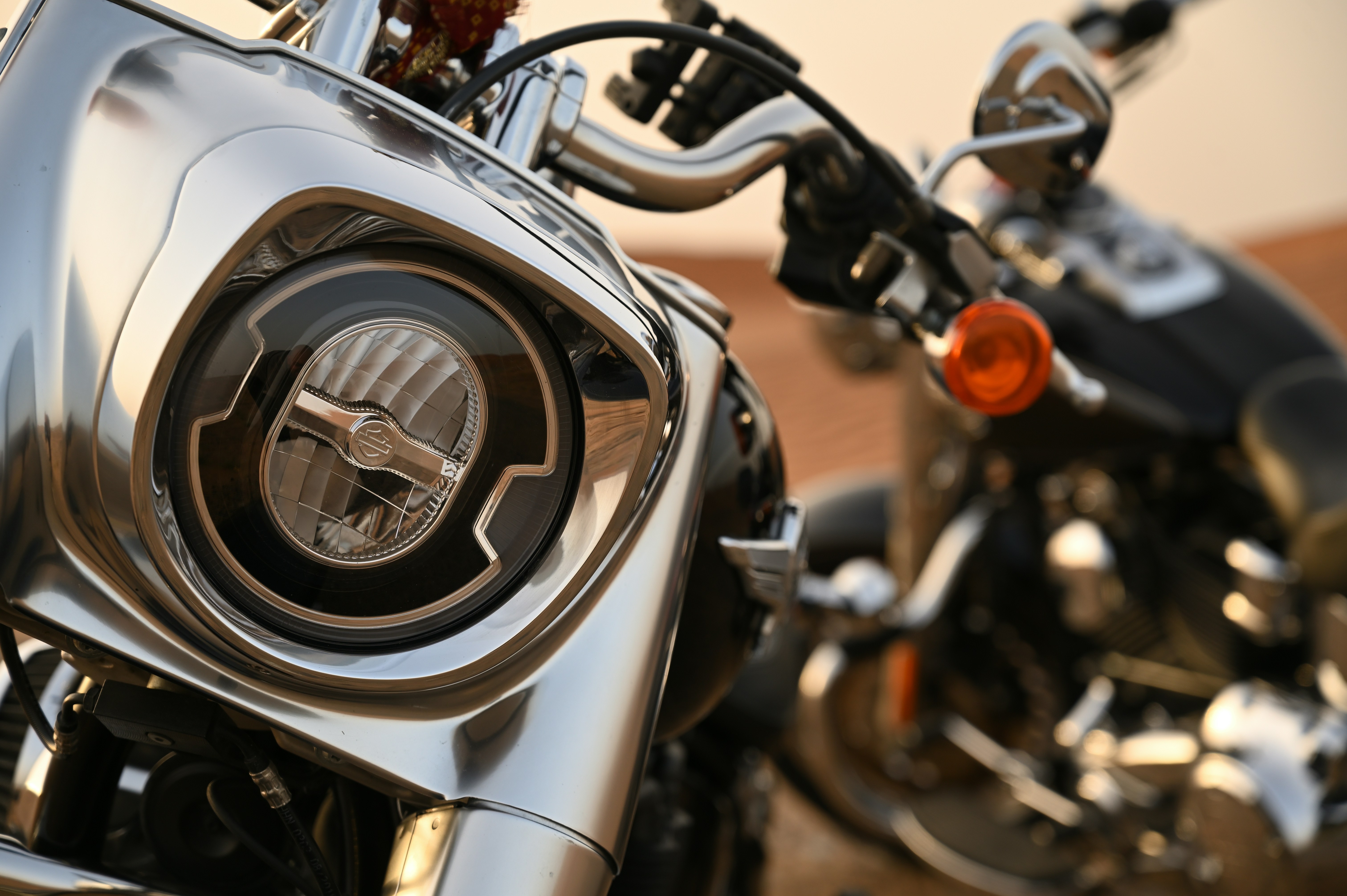 Photo by royalrider220