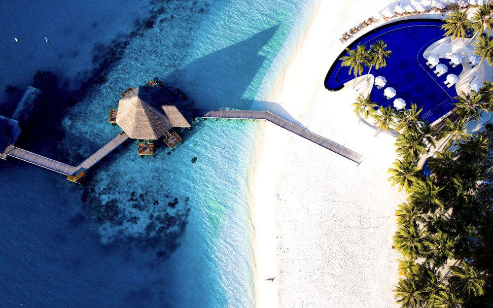 aerial view of beach during daytime