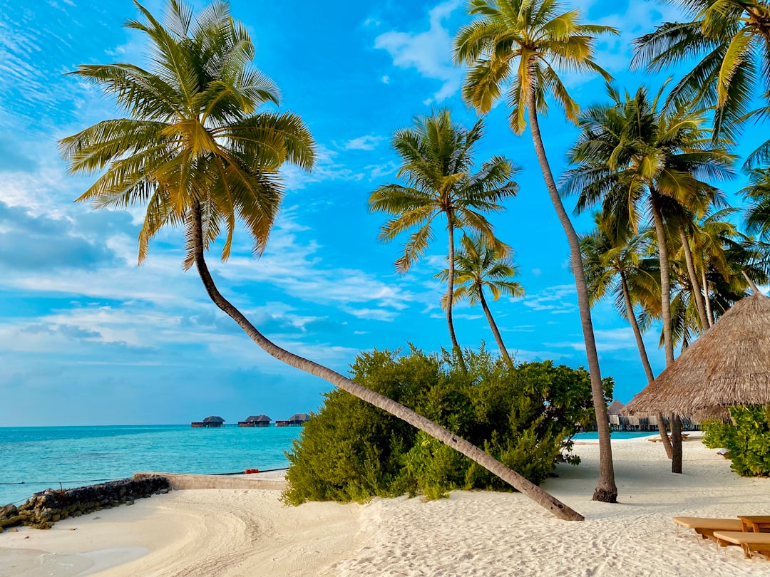 Beach photo spot Maldive Islands Kudahuvadhoo