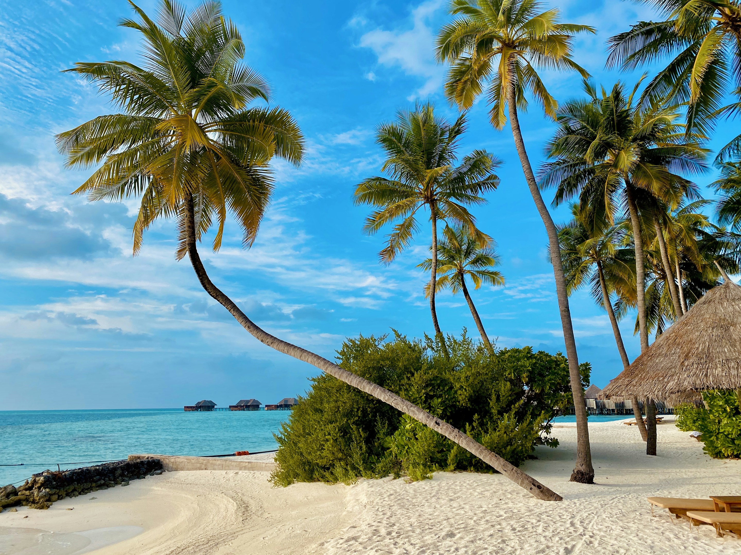 Zanzibar Spice Island
