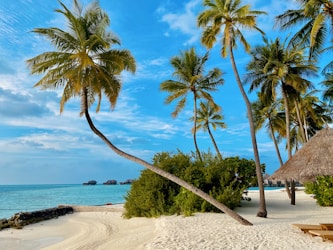 Martinique