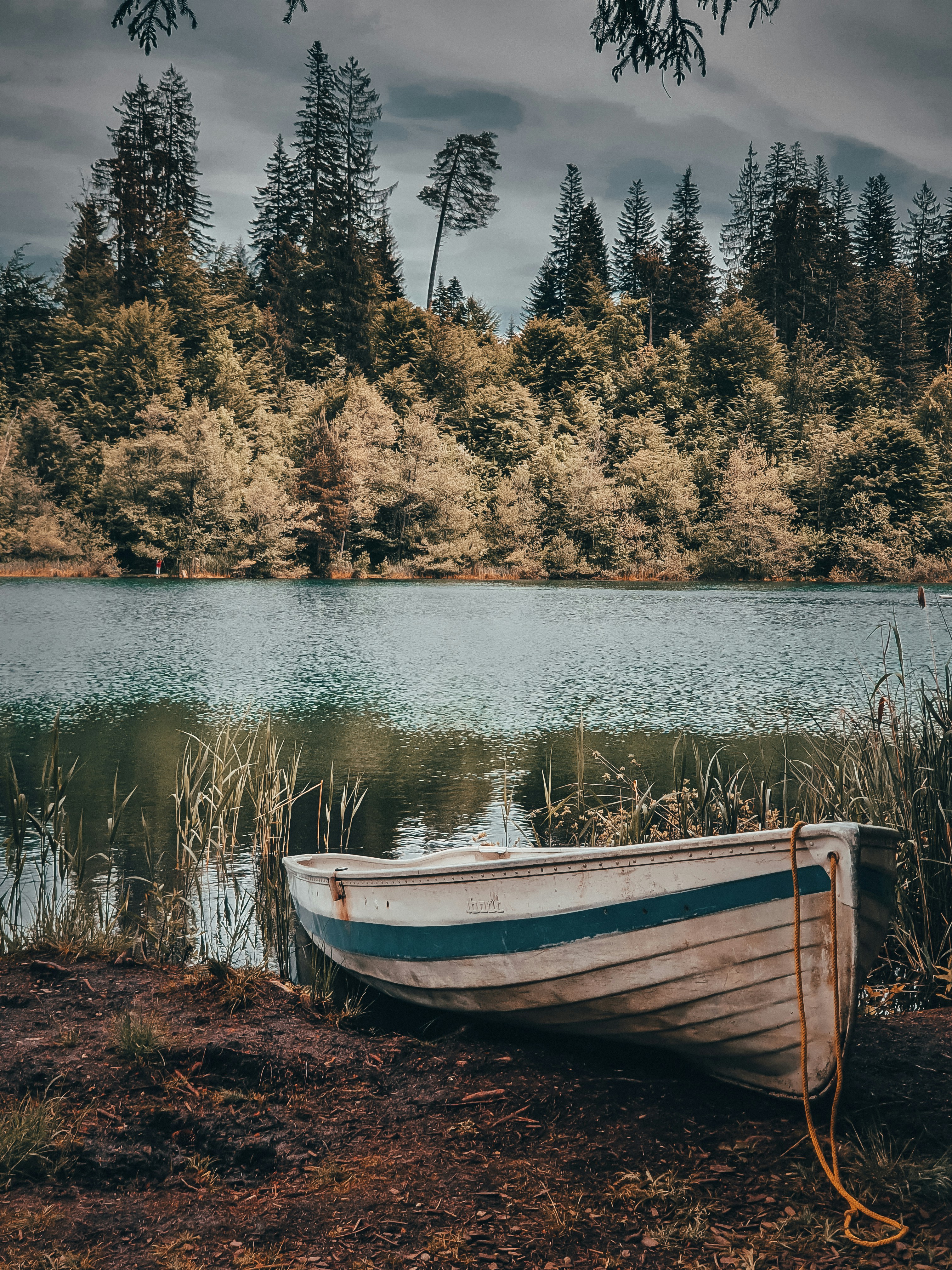 Photo by kevinoetiker
