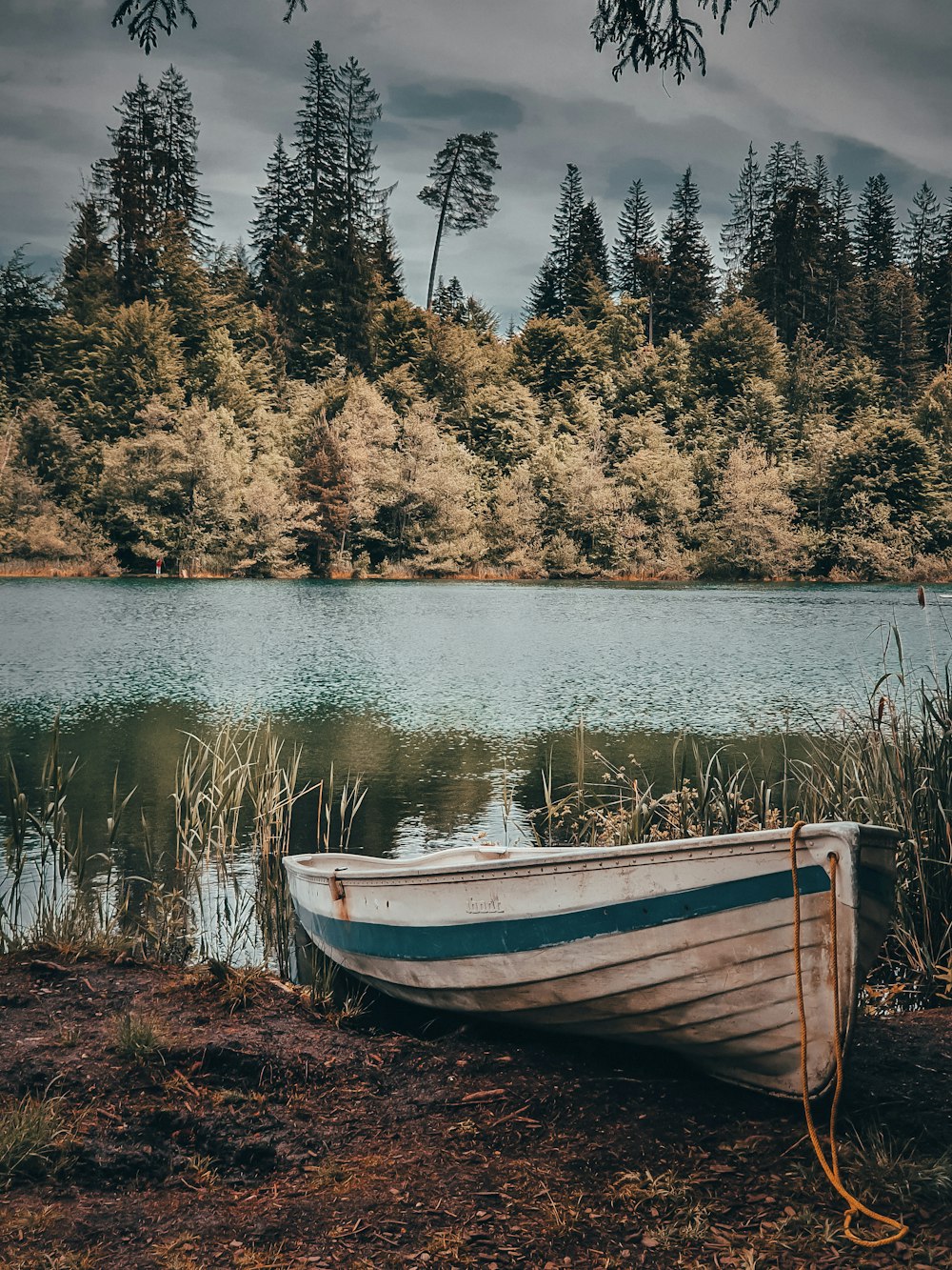 weißes und blaues Boot tagsüber auf dem See