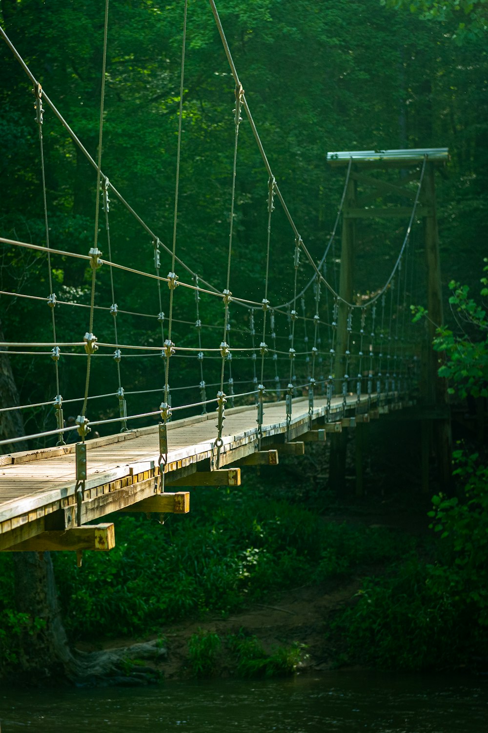 brown wooden bridge over green trees