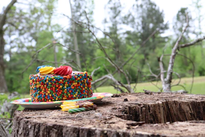 A festive cake with intricate piping and colorful sprinkles, ready for a special celebration at Kavarna Zvon.