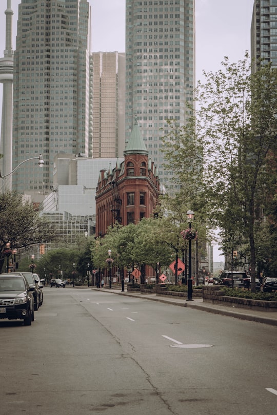 cars on road near high rise buildings during daytime in Downtown Toronto Canada