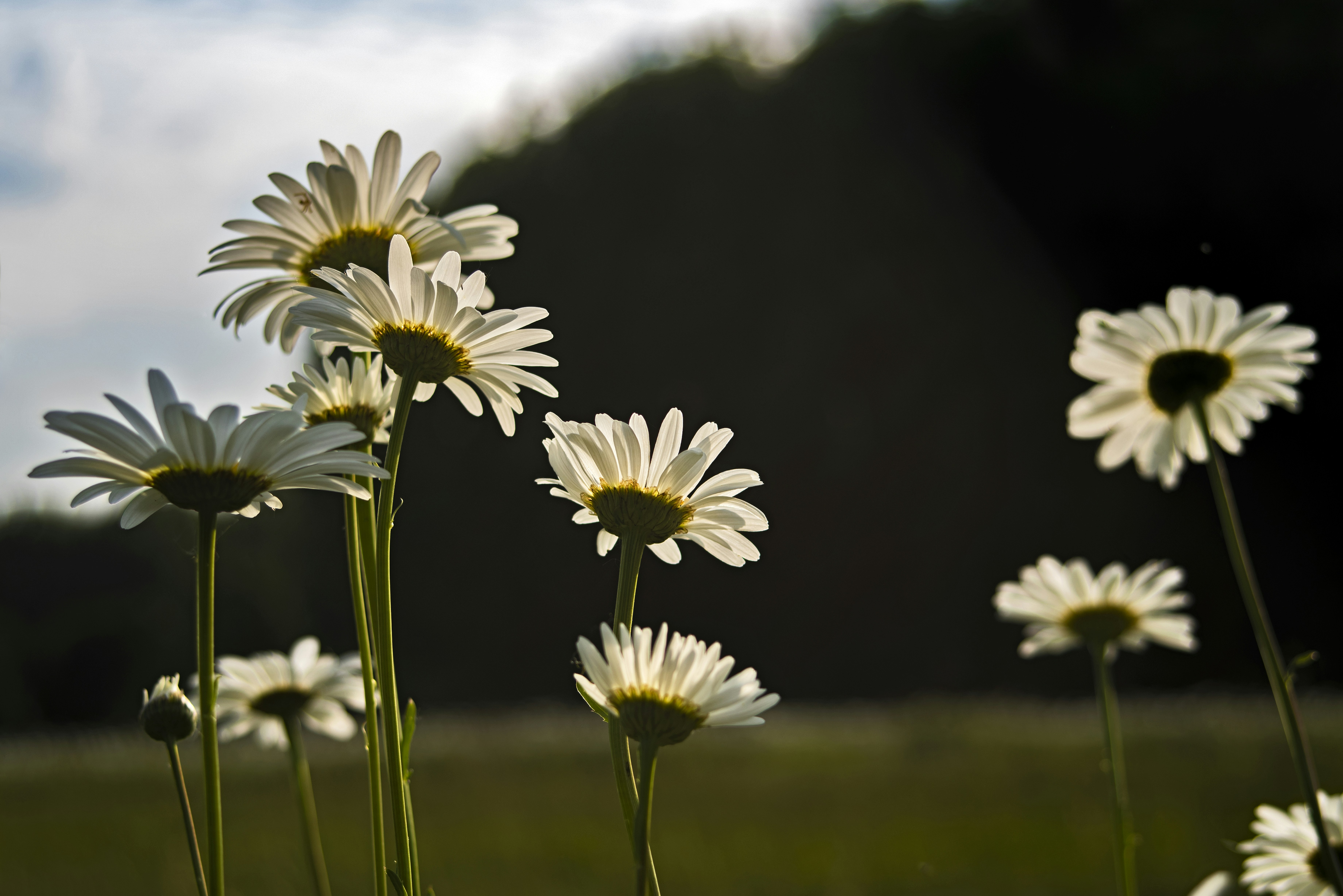 Photo by switch_dtp_fotografie