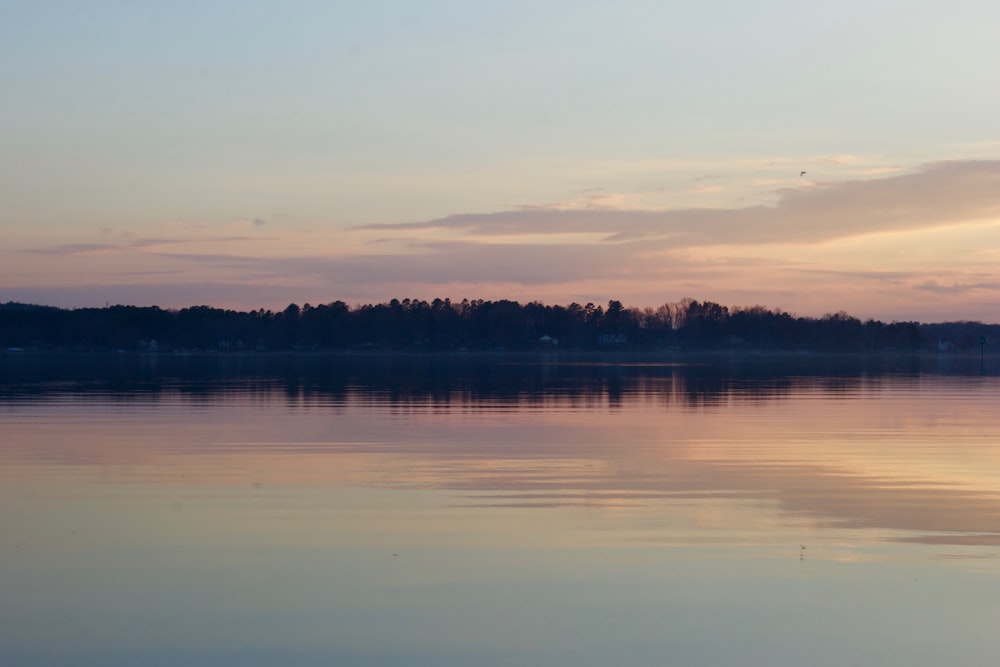 body of water near trees during sunset