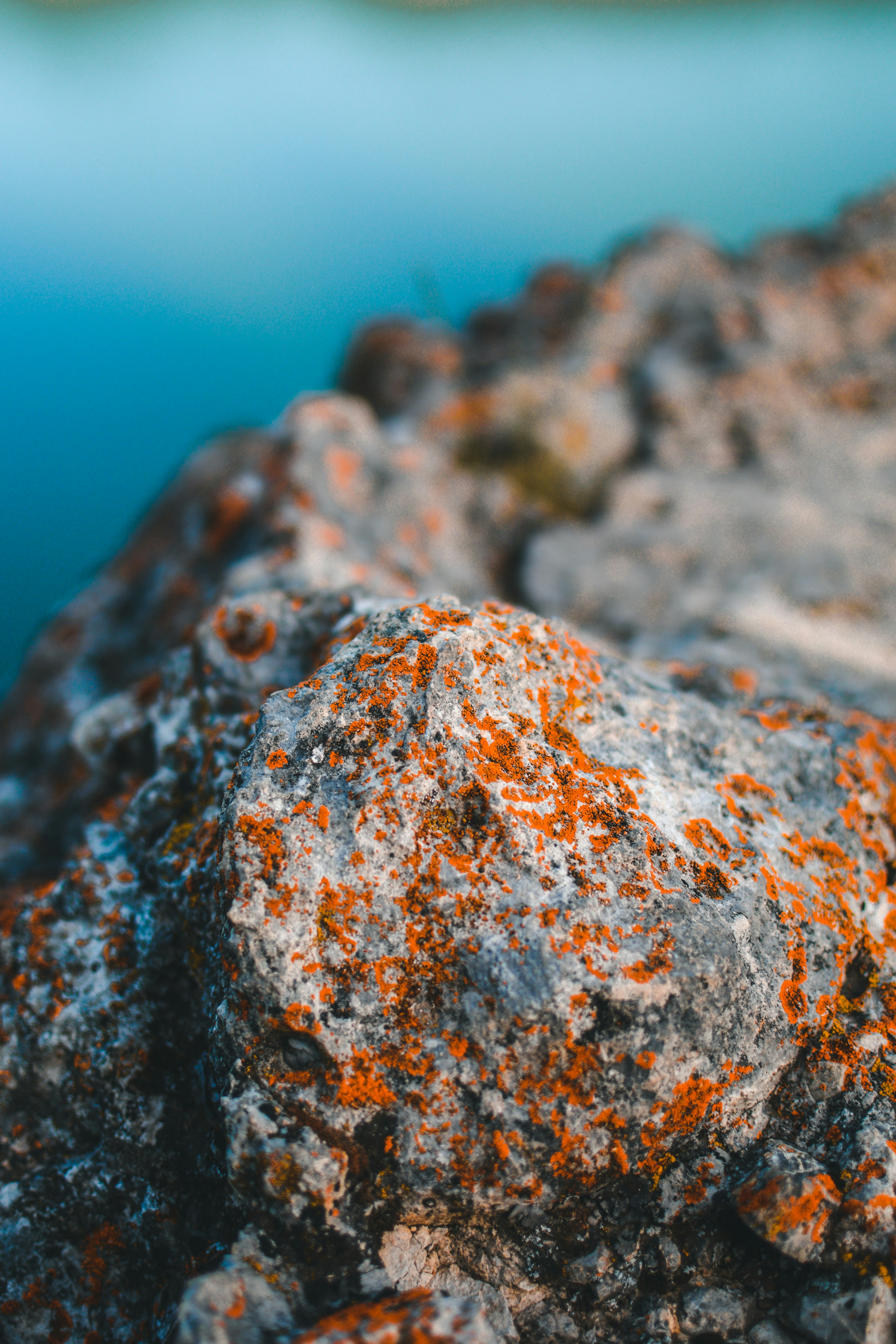 Photo by willymosesp