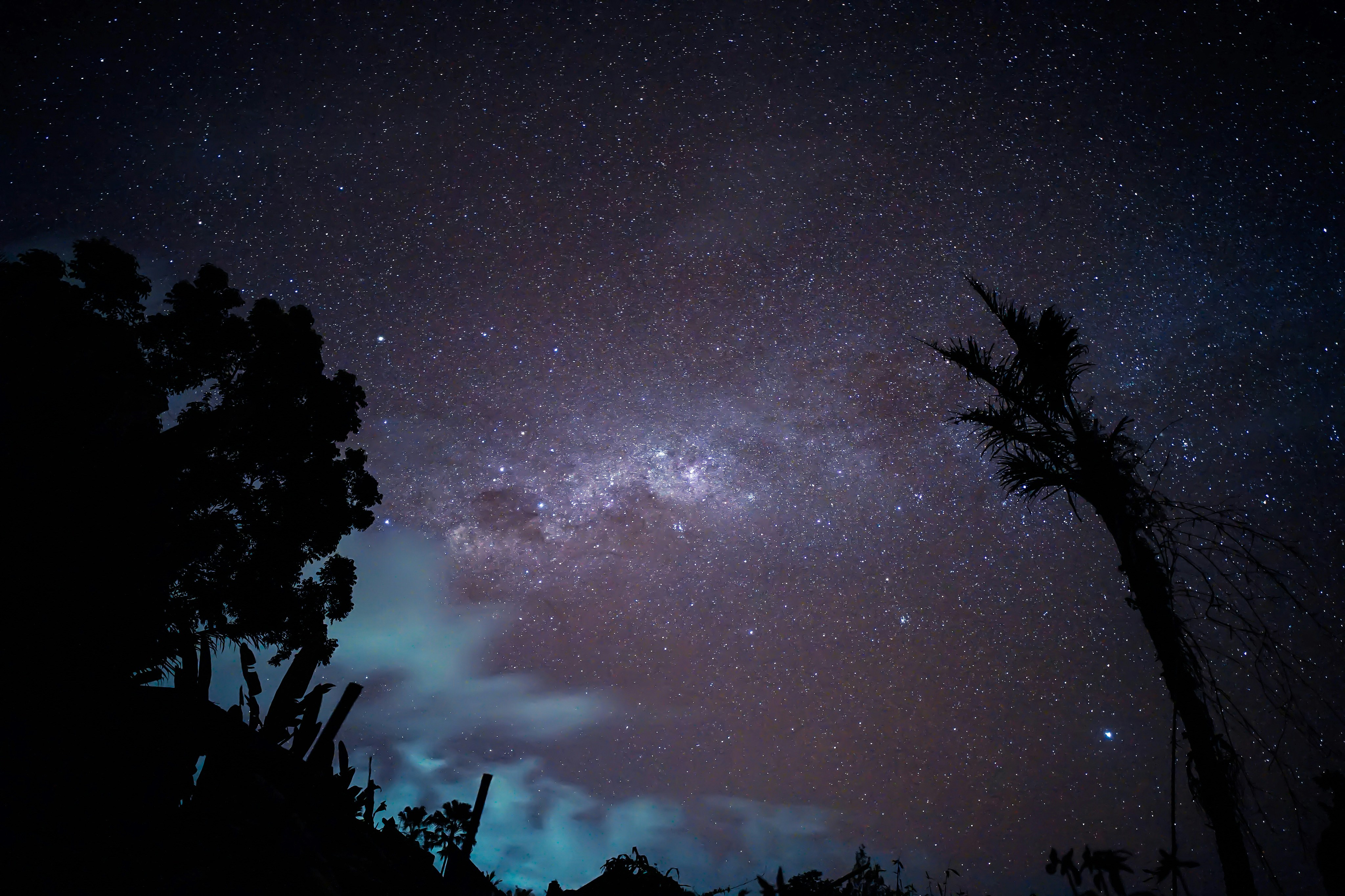 Photo by veragorbunova