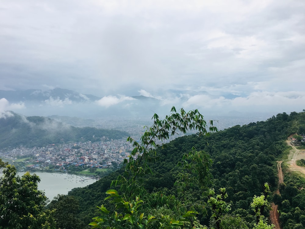 green trees near body of water under white clouds during daytime