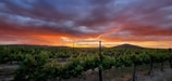 A vineyard stretches into the distance under a dramatic sunset, with orange and purple clouds filling the sky. Rows of grapevines are visible in the foreground, and the landscape includes gentle hills.