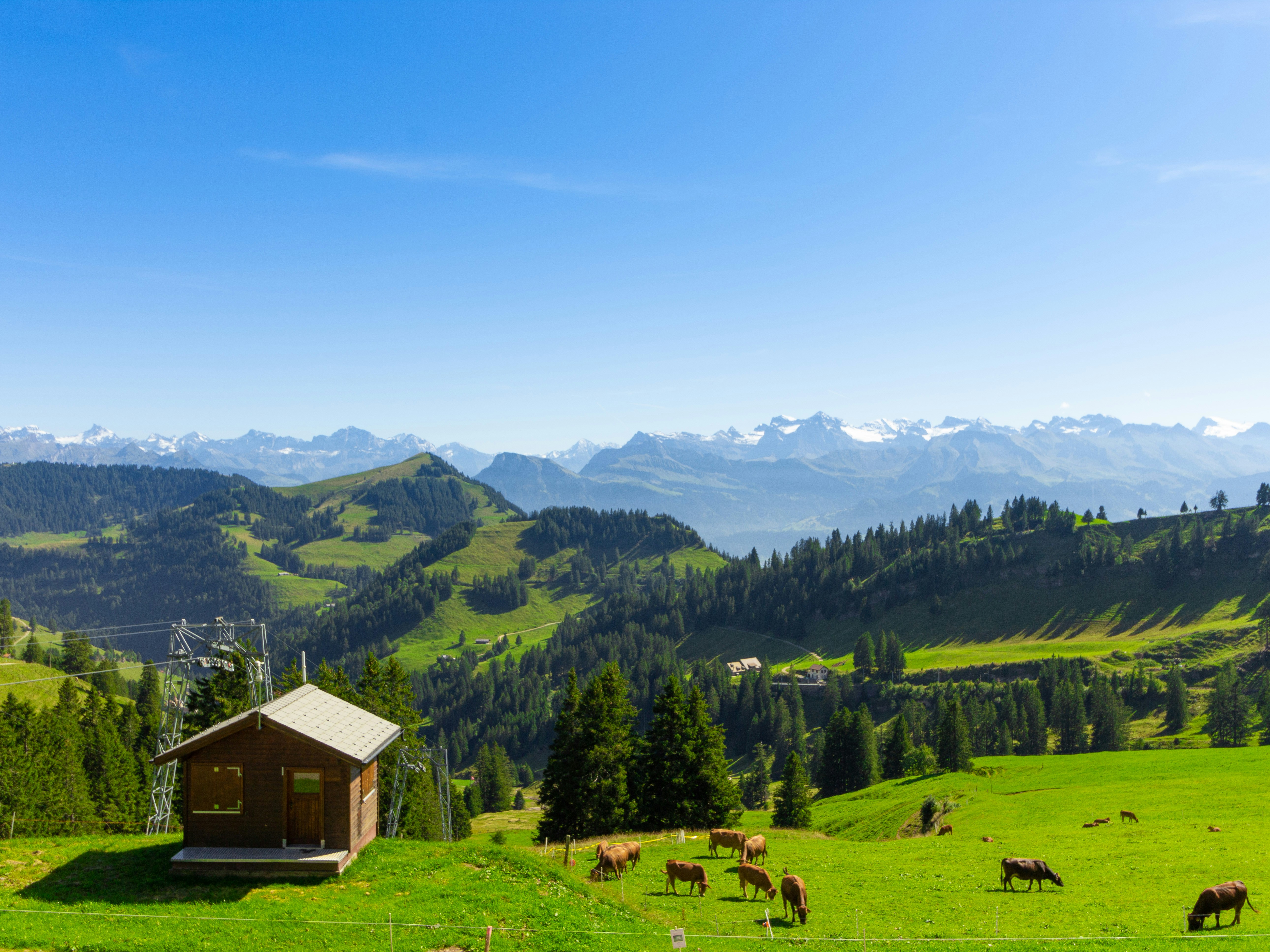 Photo by alandelacruz4