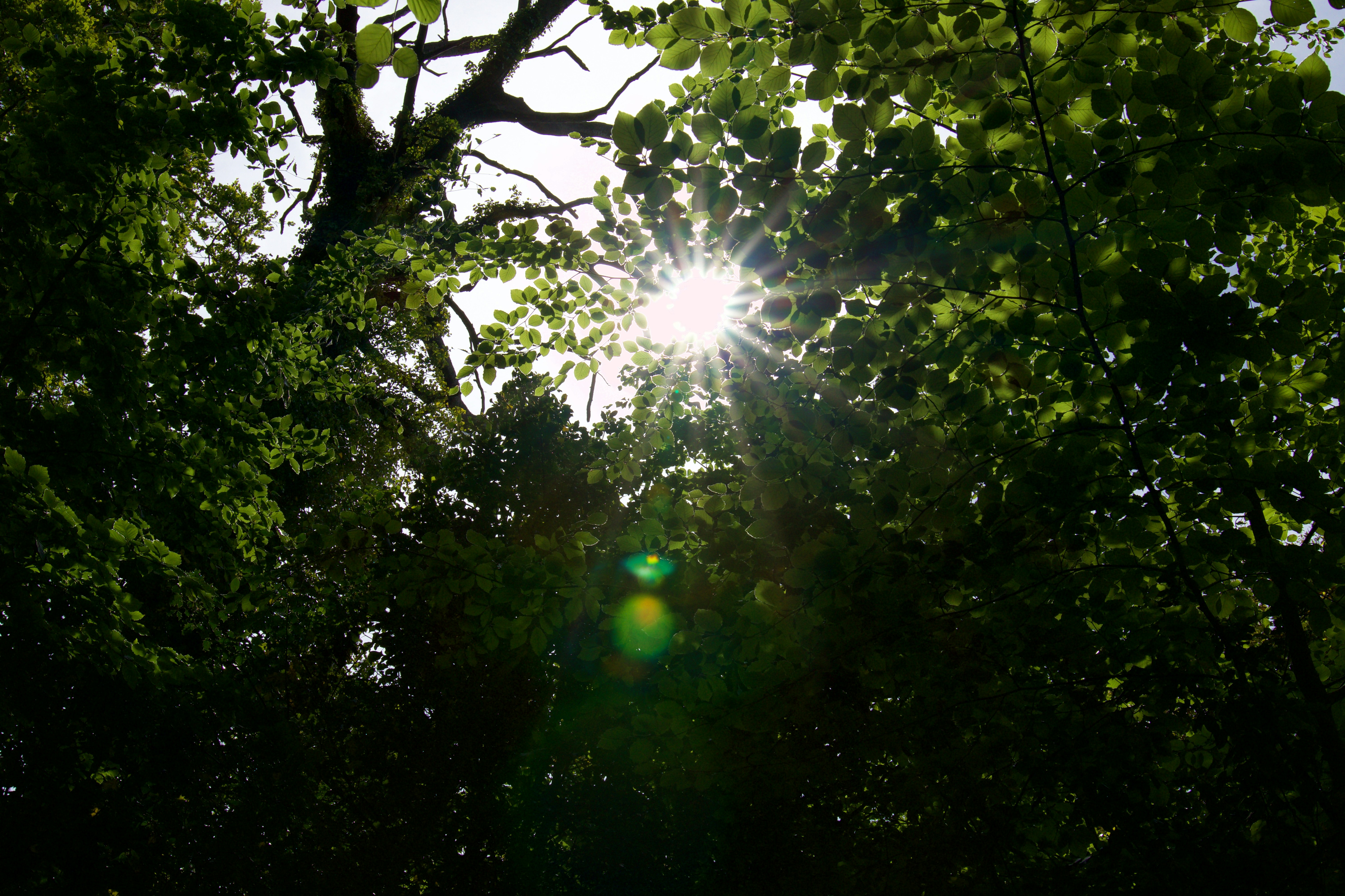 Pussy Financial header image