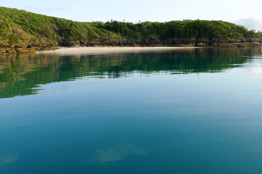 travelers stories about Reservoir in Whitsundays QLD, Australia