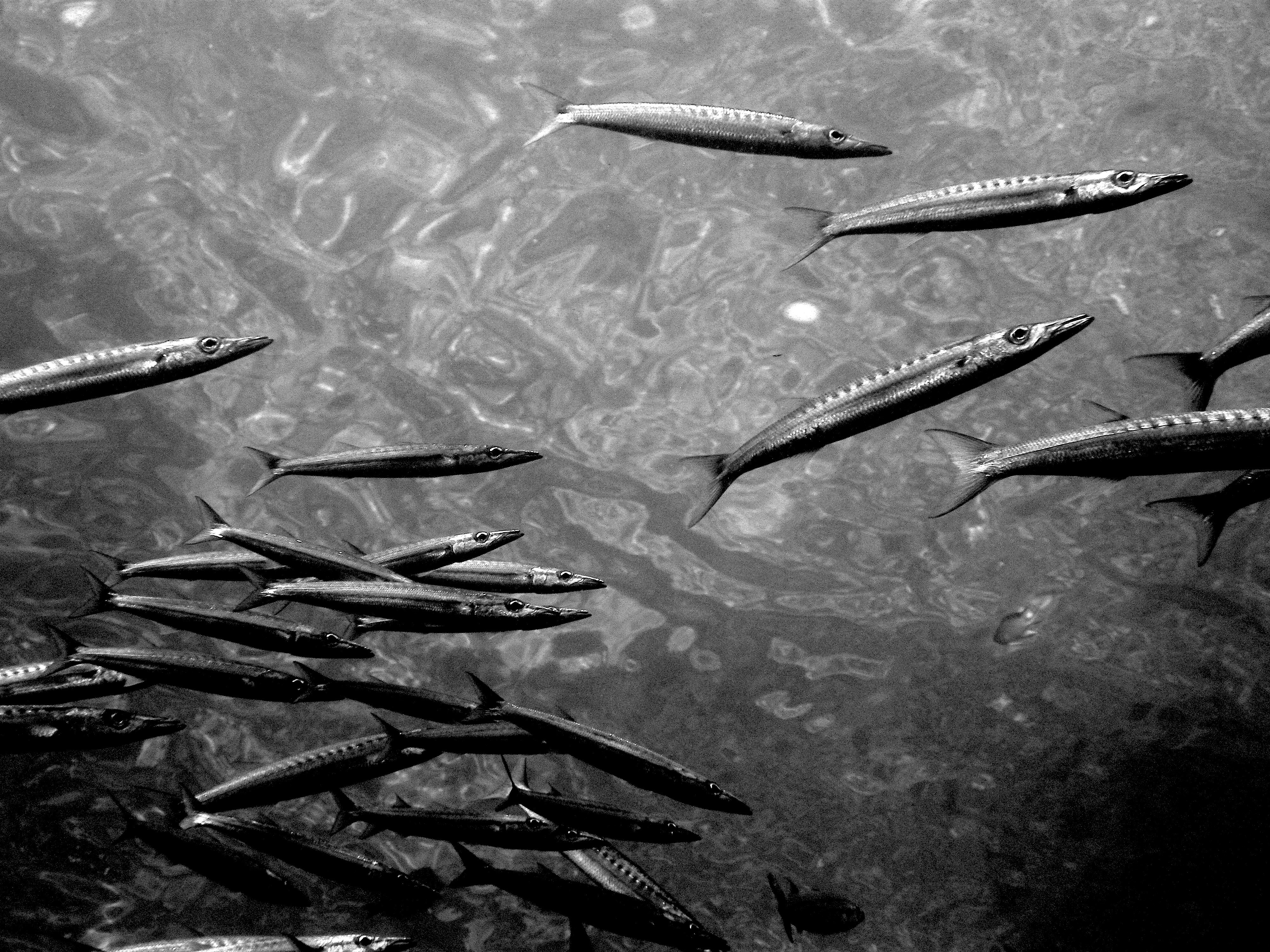 Photo by hotspur1705