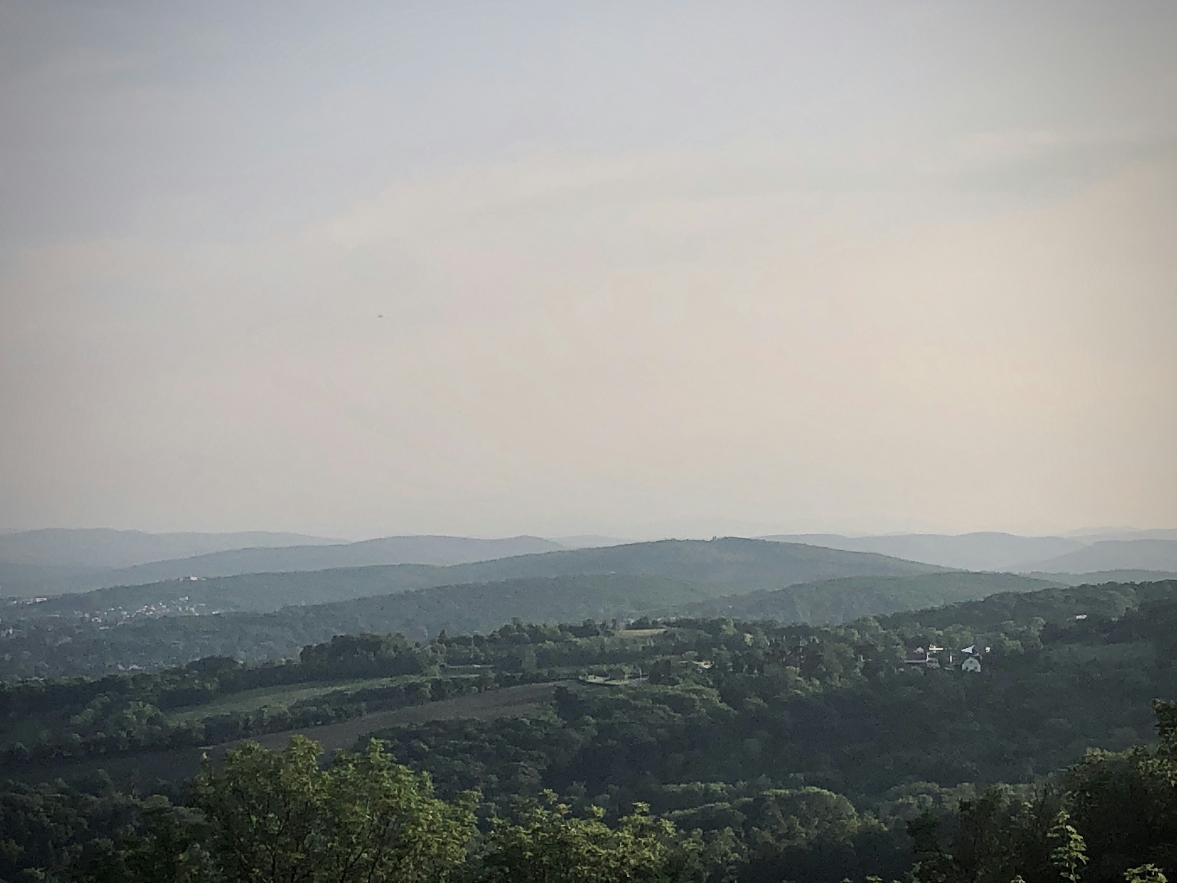 Photo by arnosenoner