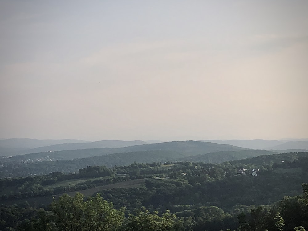 green trees and mountains during daytime