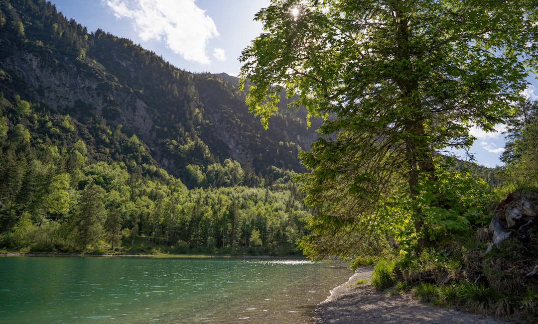 Ecoregion photo spot Plansee Tyrol