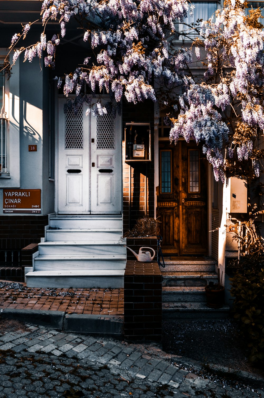 white wooden door near brown tree