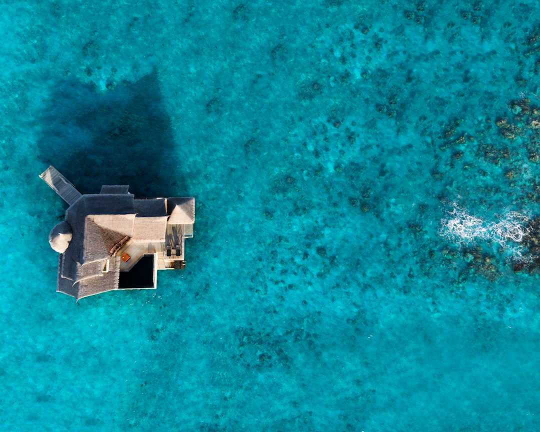 aerial view of white and brown house on blue body of water