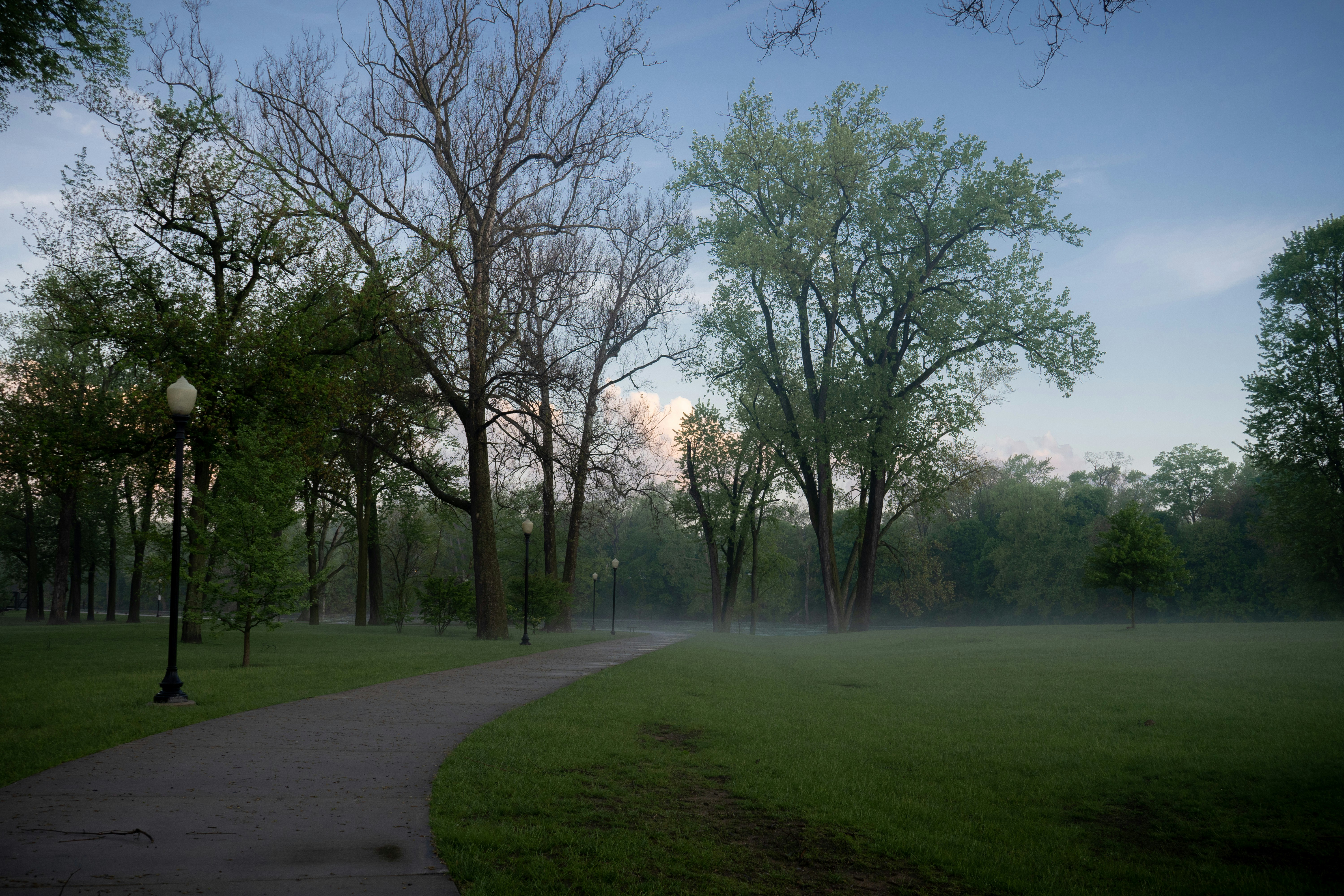 South Forestville Park