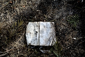 A weathered military journal lies open on a wooden table.