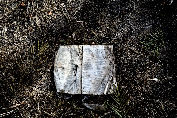 A rugged survivalist reading a weathered manual by a campfire at dusk.