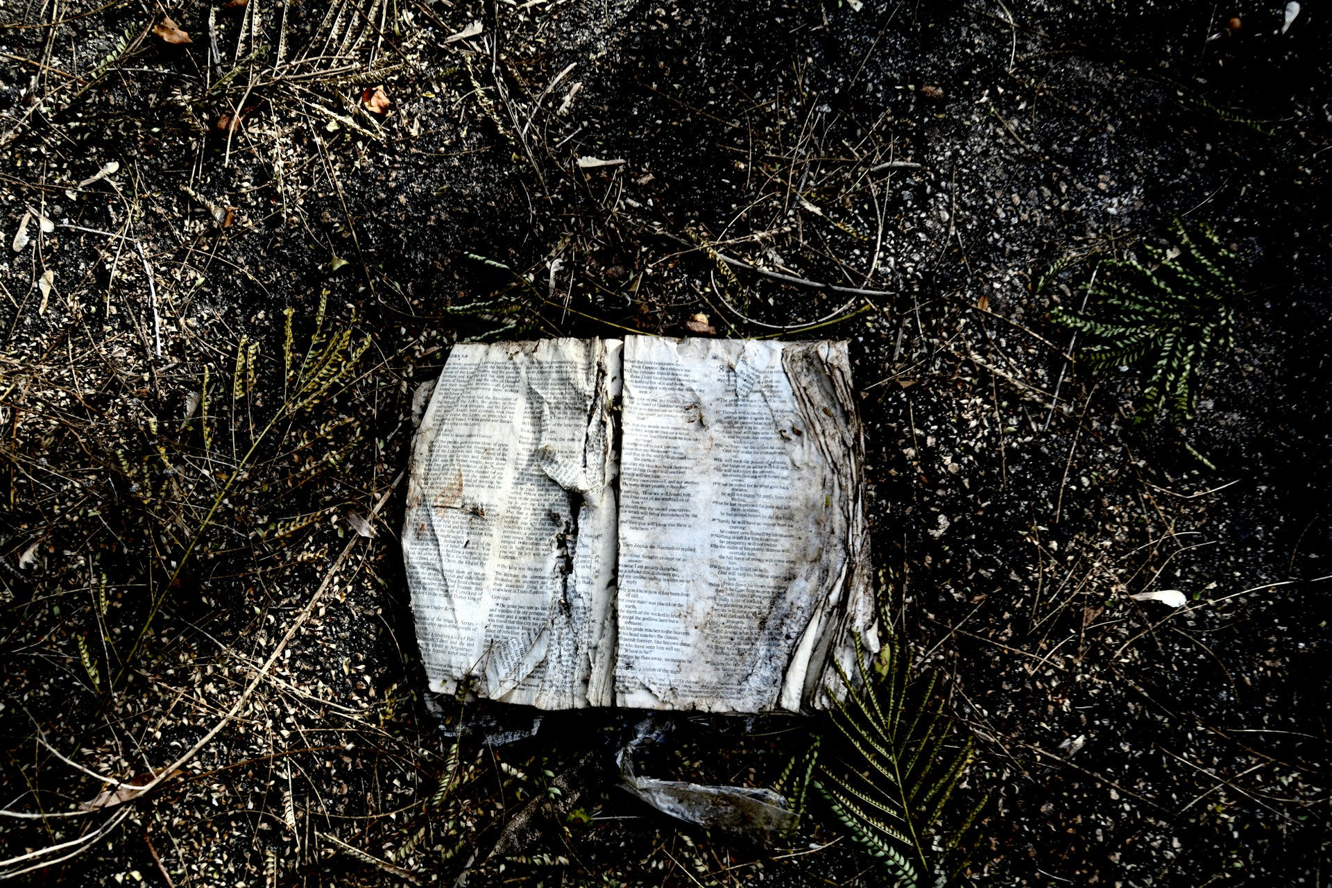 gray computer monitor