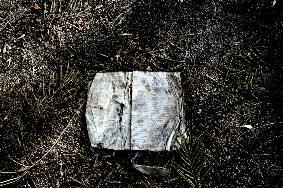 An old, weathered book lies open on the ground surrounded by dry leaves, dirt, and twigs. The pages appear worn and slightly torn, indicating exposure to the elements.