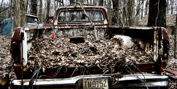 In a forest setting, an old rusted pickup truck is surrounded by bare trees. The bed of the truck is filled with dead leaves and branches, giving it a neglected appearance. The vehicle has a Georgia license plate, and another rusted car is partially visible in the background.