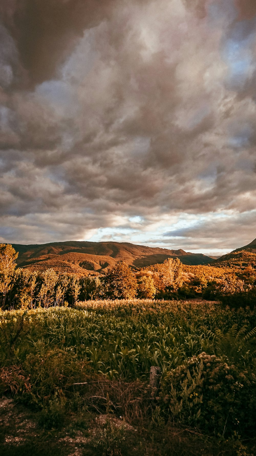 green grass field near brown mountain under gray clouds during daytime