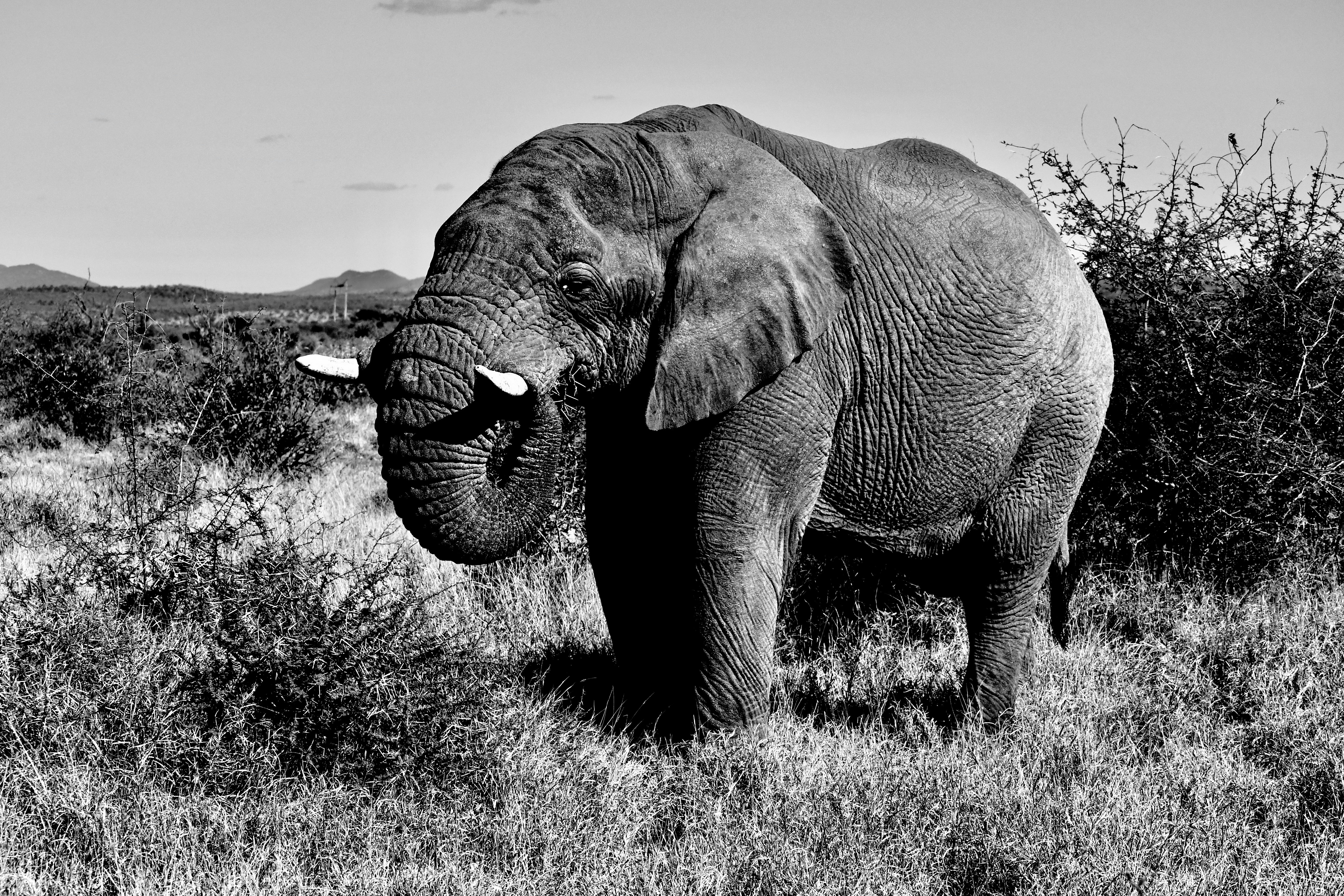 Photo by jackcharles