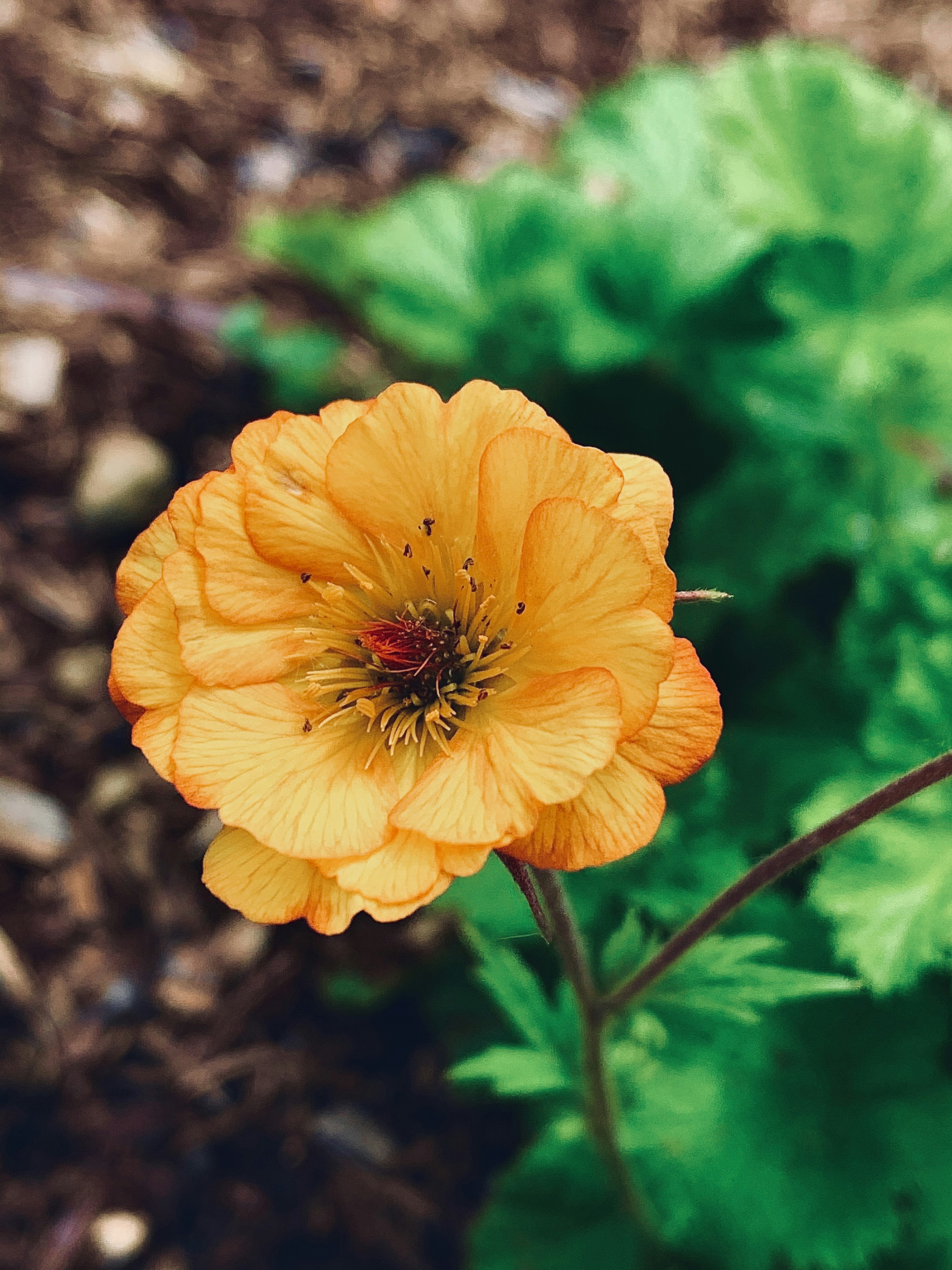 Photo by sweetsimplesunshine